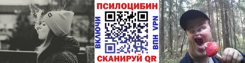 Галлюциногенные грибы Cubensis  Орлов 