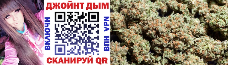 KRAKEN сайт  как найти наркотики  Орлов  Конопля ГИДРОПОН 